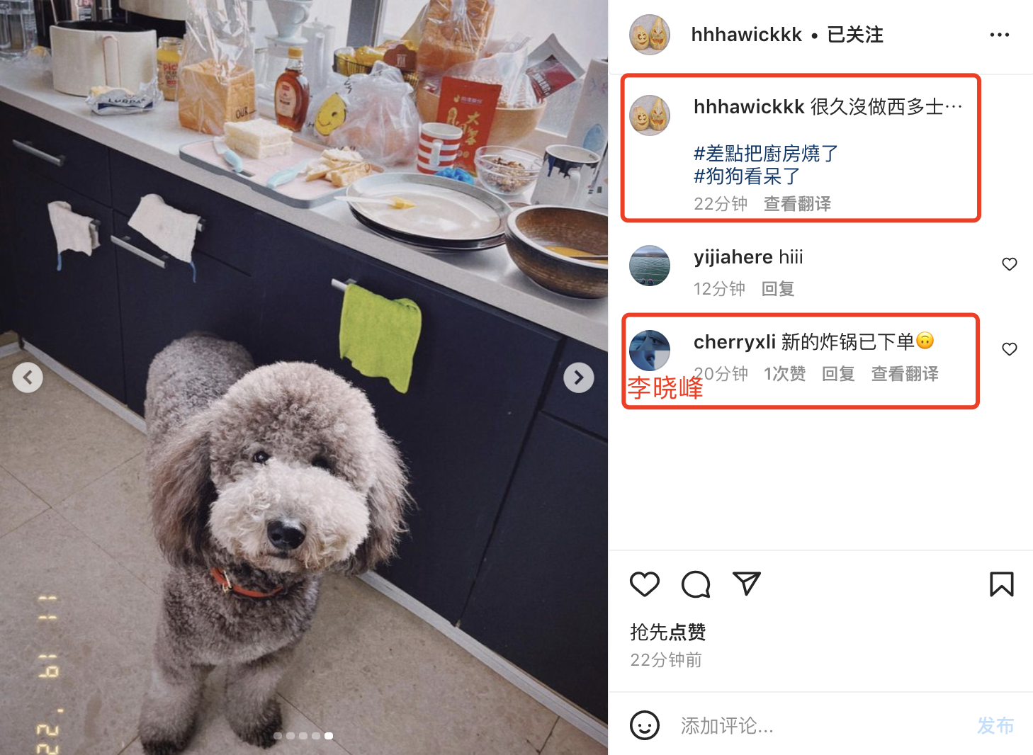 刘恺威|刘恺威或与李晓峰已同居，在女方家里下厨却翻车，李晓峰上线幽默互动