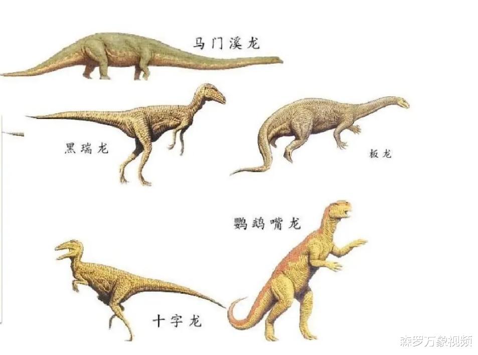 科学家认为,6500万年前恐龙灭绝的过程是这样的,原来这么痛苦!