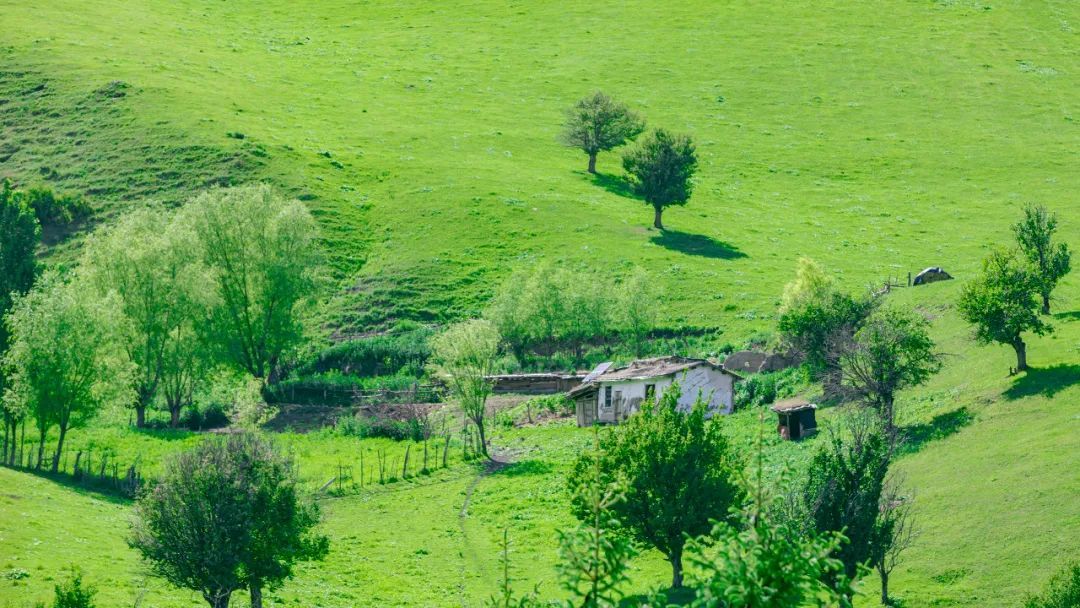 旅行|最适合一个人去的15个漫游地，累了就出去走一走