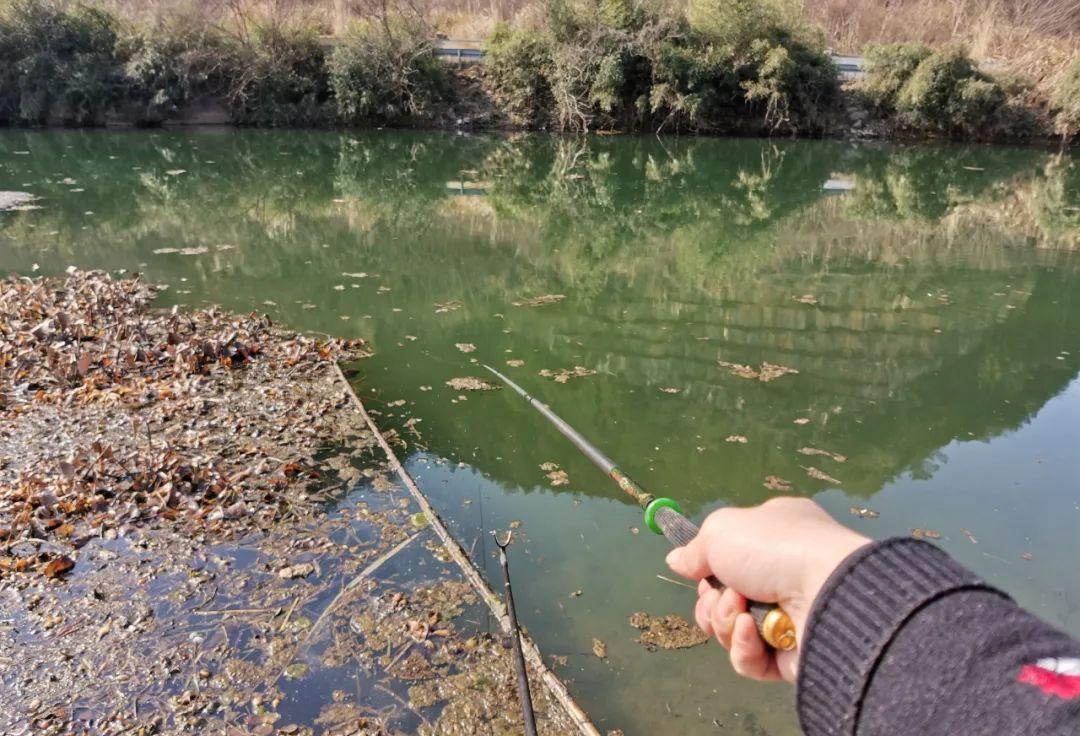 国语|你知道冬钓鲫鱼的最佳时间段吗?这几条信息很重要,干货分享!