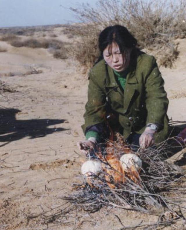 纪实殷玉珍嫁去沙漠睡地窖,大哭7天不甘认命,15年后成“治沙女王”