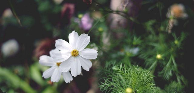 拥抱|不必恭维讨好，爱你的人自然会拥抱