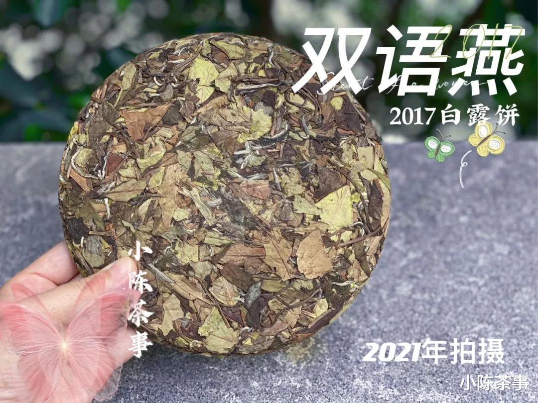 古钱币|紫砂壶 VS 盖碗,谁更适合冲泡老白茶?实际测评之后,有答案了