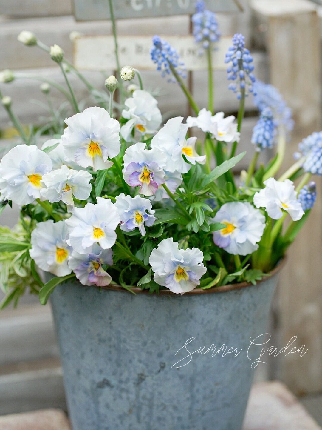 20㎡一楼小院,DIY打造杂货花园,倒腾了一年时间,如今又仙又美