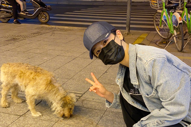 杨紫|演员杨紫横店逛夜市，街头吃雪糕接地气，特意蹲下与流浪狗合照