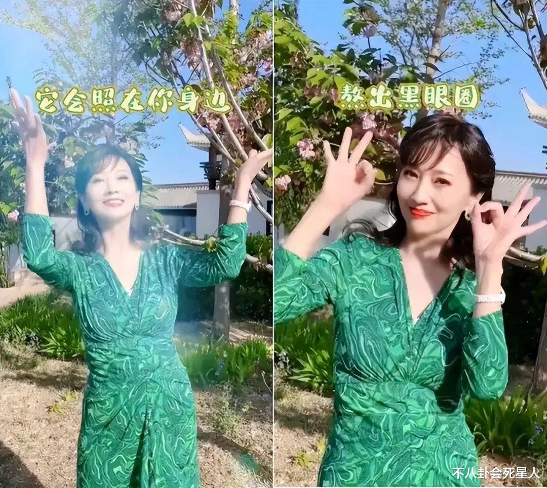 李嘉明|端午节假期10个瓜，拍戏落水溺亡，被告上法庭，花260万买狗