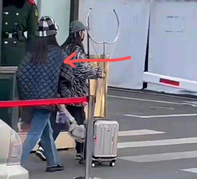 白泽|春晚阵容官宣，杨紫赵丽颖冯提莫待遇完全不同，咖位不同别硬融