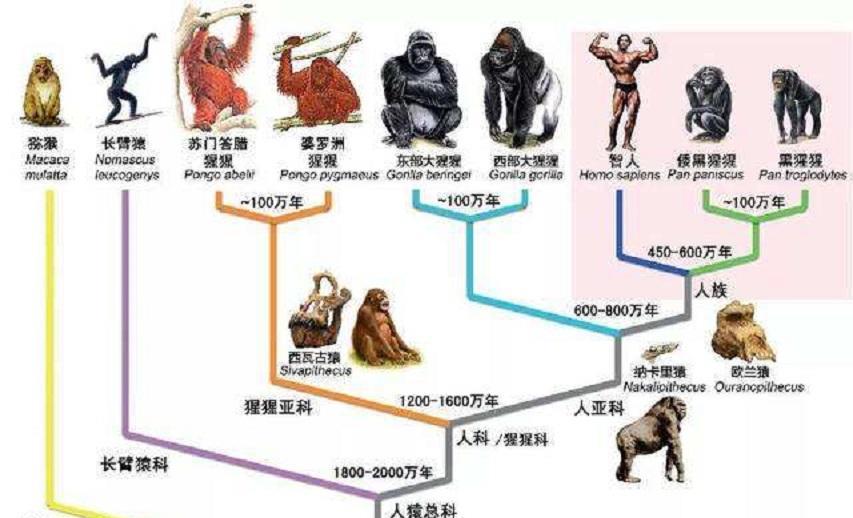 神秘的外星人,曾经和人类擦肩而过?为何会有这种观点?