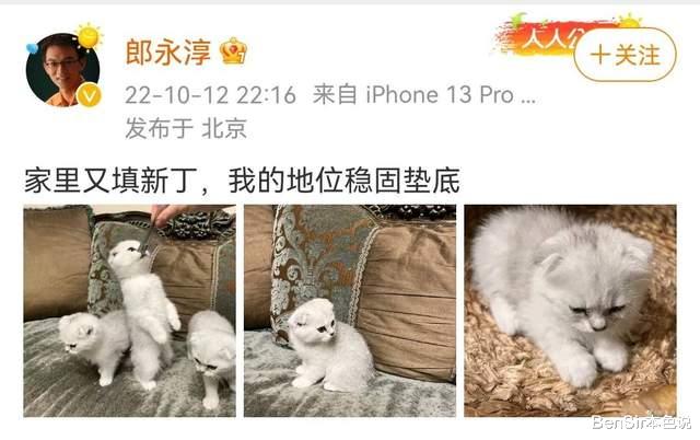 郎永淳|在央视担任20年主持人,一着不慎成了阶下囚的郎永淳,如今怎样了?