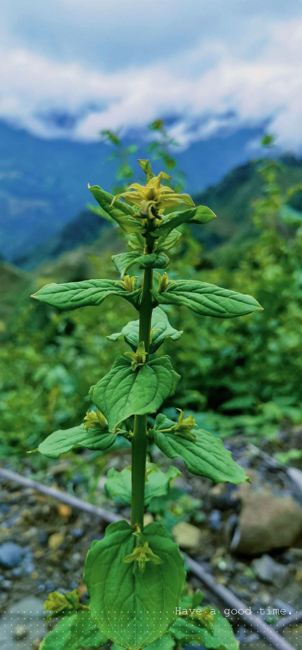 |归山海｜把自己归还自己