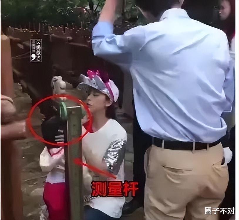 乘风破浪的姐姐|《浪姐3》11大看点：有的被高估，有的被误解，有的无人敢收