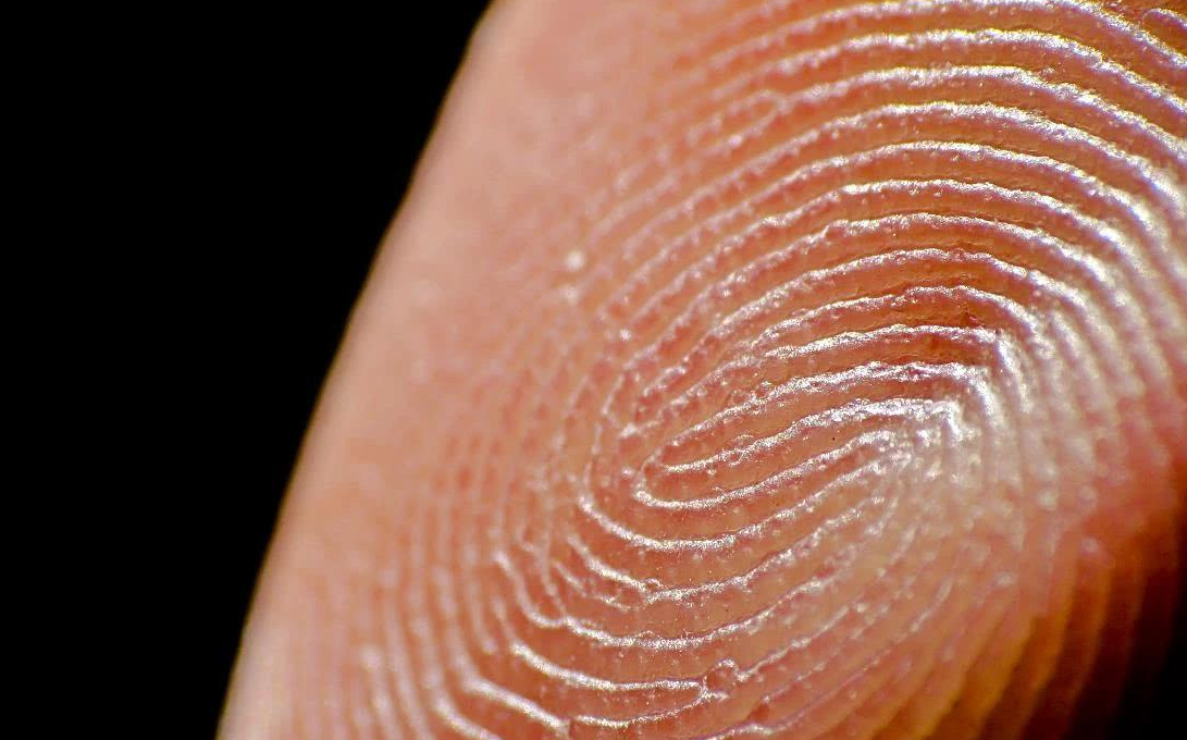 一斗穷、二斗富?康熙10个“簸箕”,科学家发现斗与簸箕的奥秘
