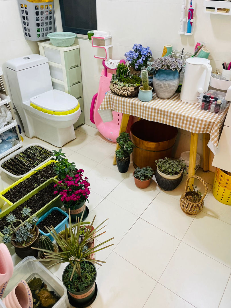 想在家里打造一个小花园,这6个方法要收藏,家里也变小花园