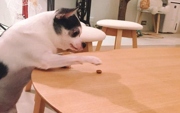 晒晒林宥嘉住的豪宅,厨房区域设计很简单,在家也会下饺子吃