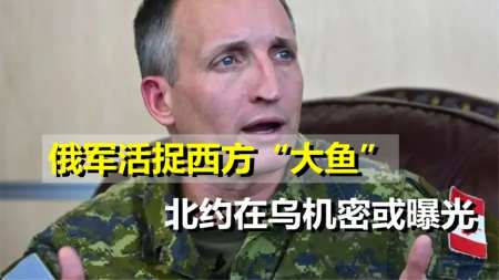 果然俄美在马里乌波尔完成了“交易”,俄放走了美方“大鱼”!