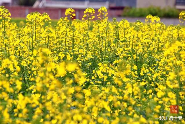 甘肃|夏天去哪玩？甘肃有一个地方，既漂亮，又凉爽