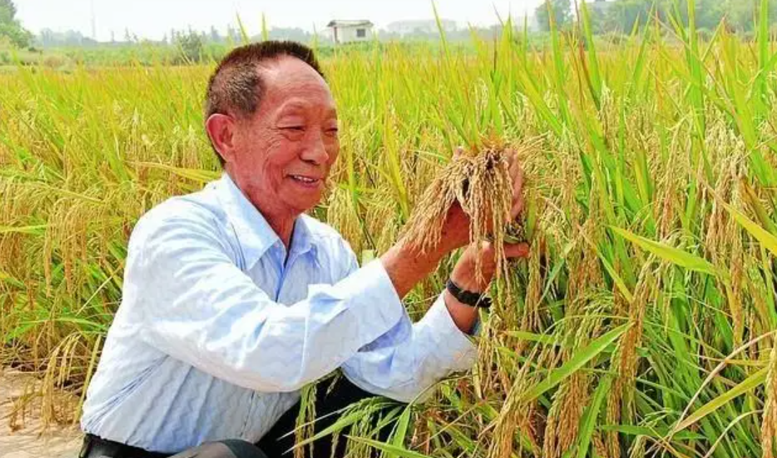 野生动物也能杂交,它们繁殖的后代有多惨?动物杂交该被禁止吗?