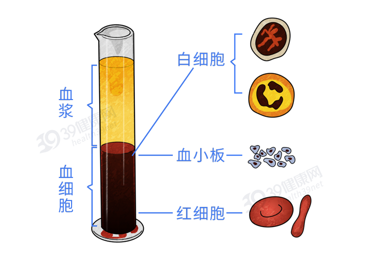 医院|为什么一到医院就要抽血？为你揭秘：抽出来的血，最终去了哪儿