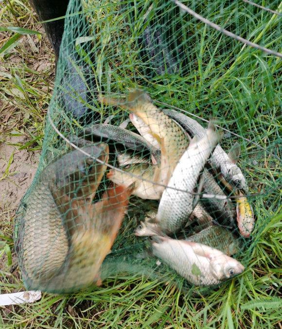 汾河|山西钓鱼人独自去汾河钓鱼后失踪，原因未知，钓友：鱼竿还在岸边