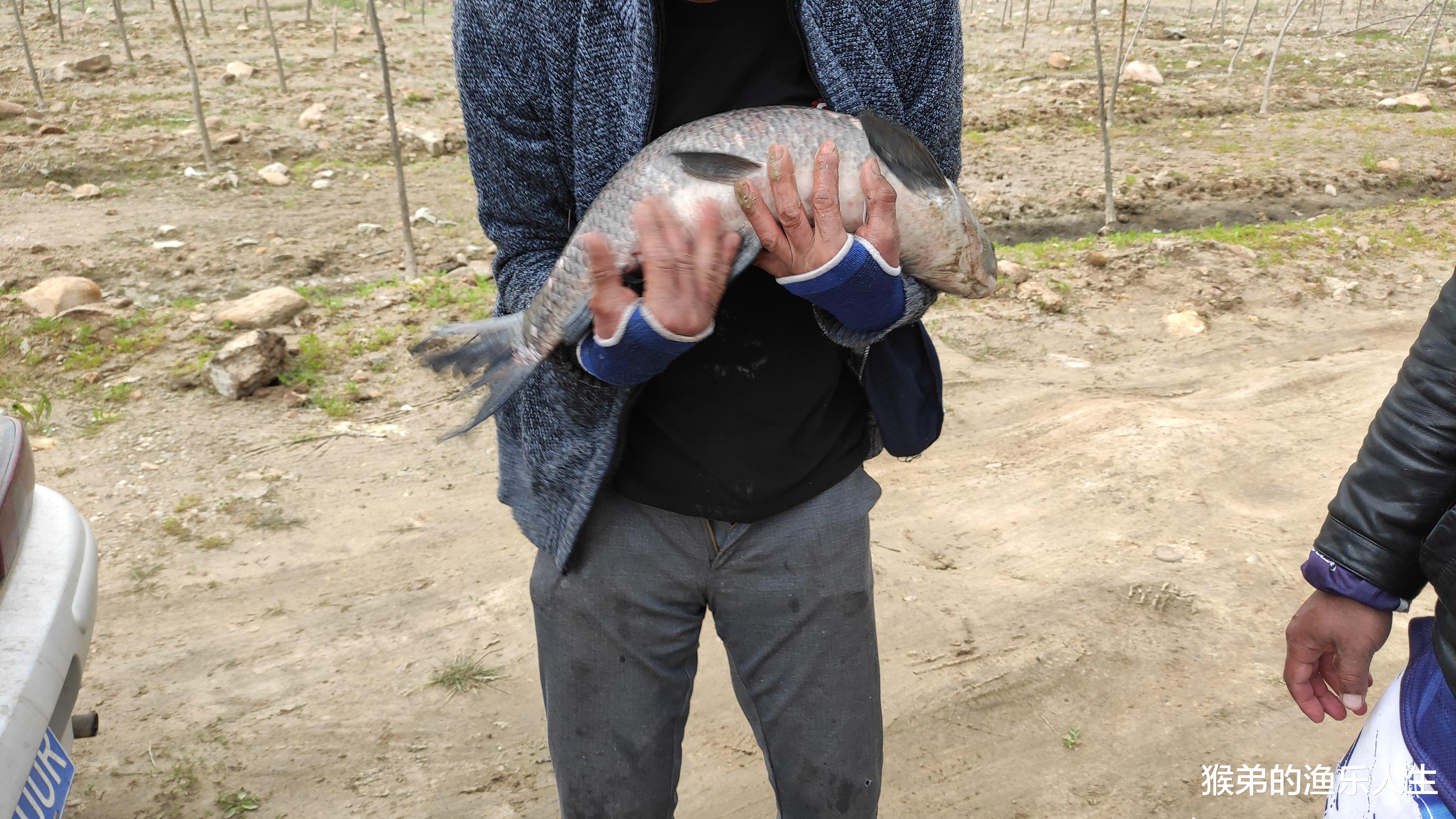 饵料|夏季野钓的五大改变，和春季完全不同，学会你也可以连竿上鱼