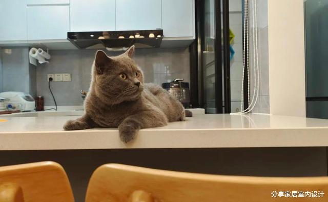 63平新房全屋充满生活气息，做开放式厨房，吧台作为餐桌简约时尚