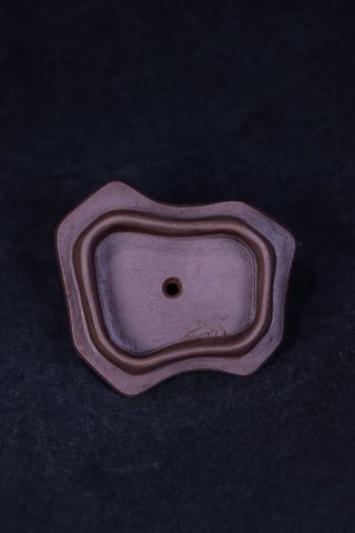 |清:松树桩形老紫砂壶。