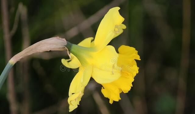 裁员潮|真正聪明的人,早就戒掉了无效社交