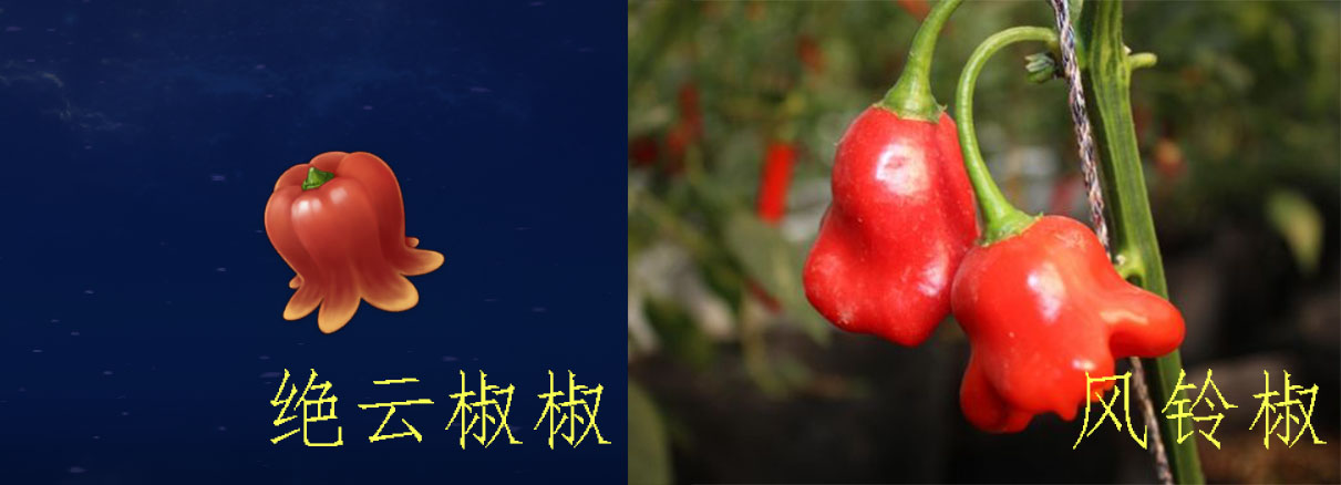原神|原神：你能想象在现实中，真的有“绝云椒椒”吗？