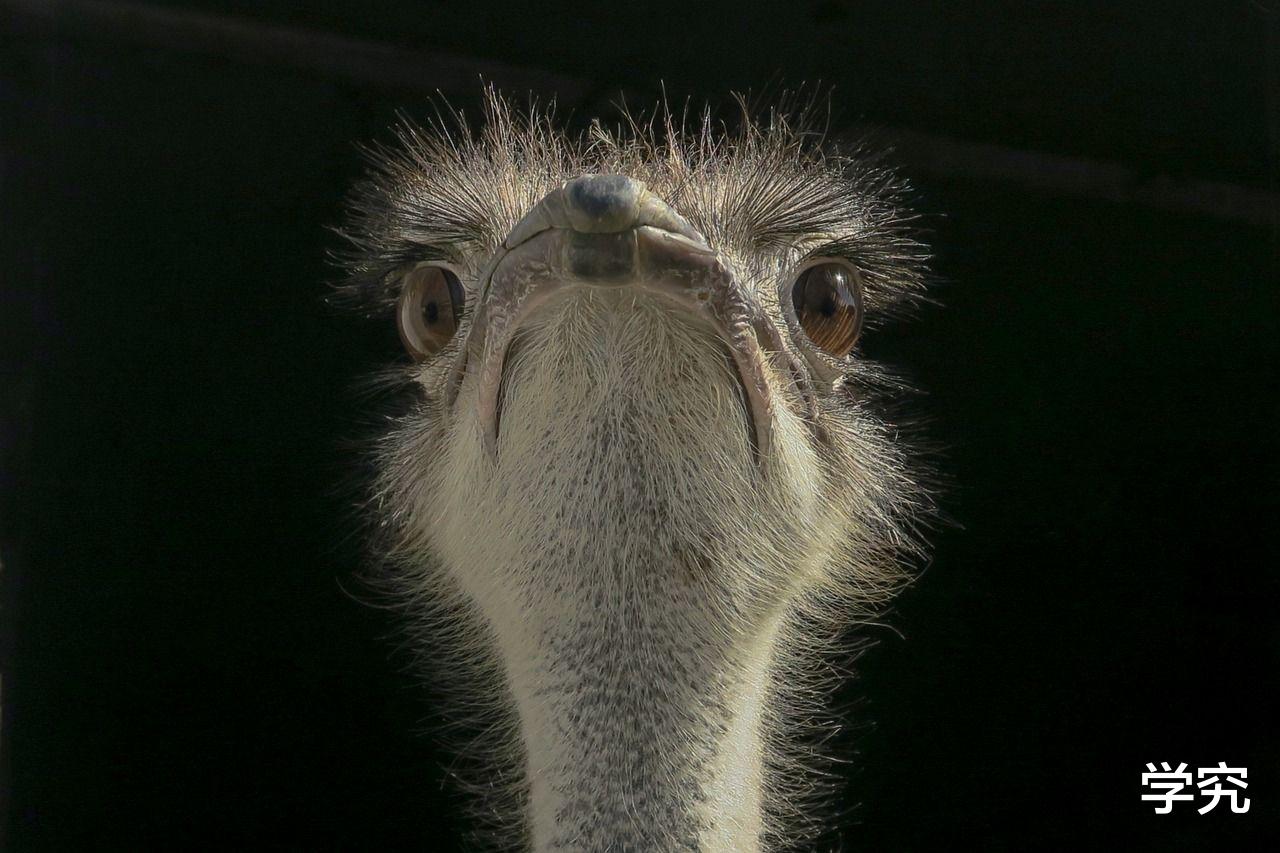 |职场中不要随便做这件事,职场术是不是毒鸡汤?职场要防着任何人