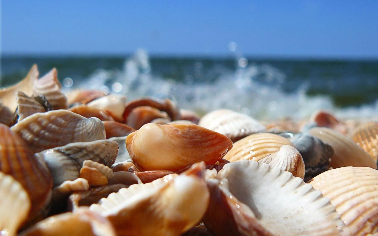 |职场上，如何处理“意外”？