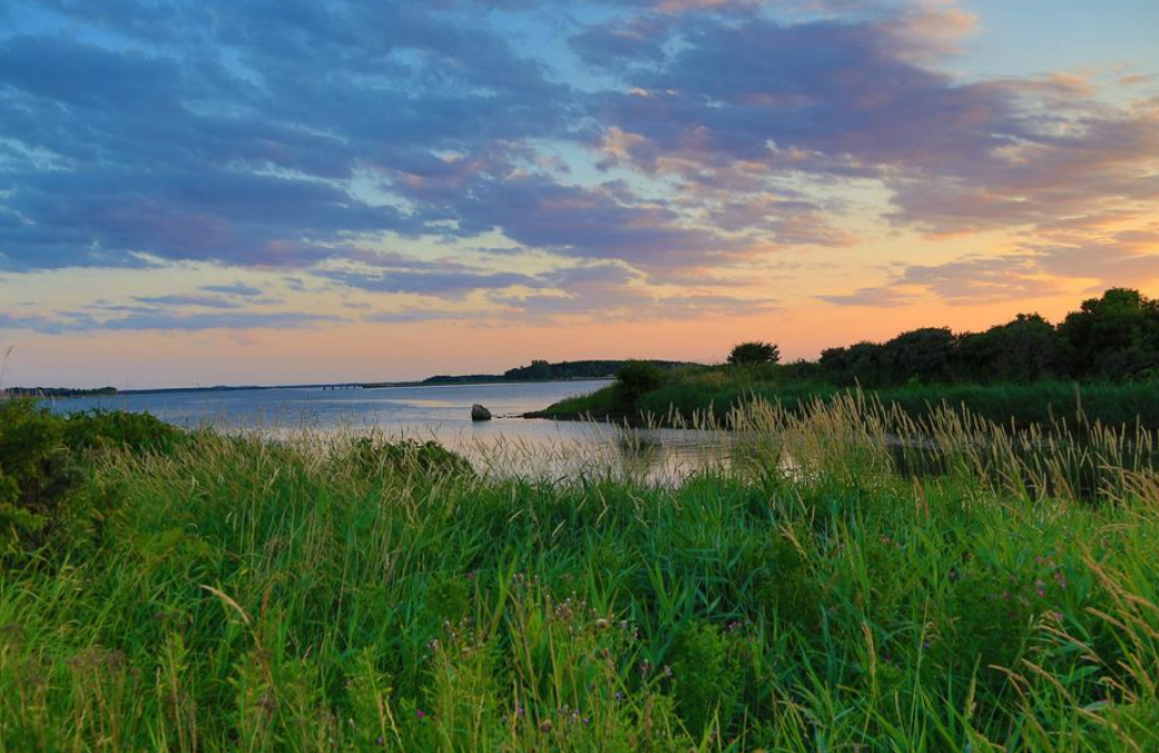 欧洲旅游|丹麦是风景秀丽，环境优美的旅游目的地国家之一，天鹅是国鸟