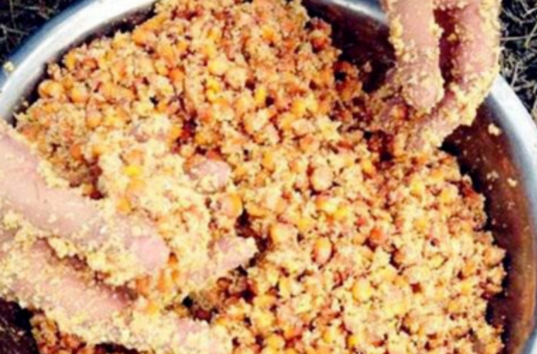 饵料|同样都是钓鱼,为什么自己是光头?而别人却满载而归!