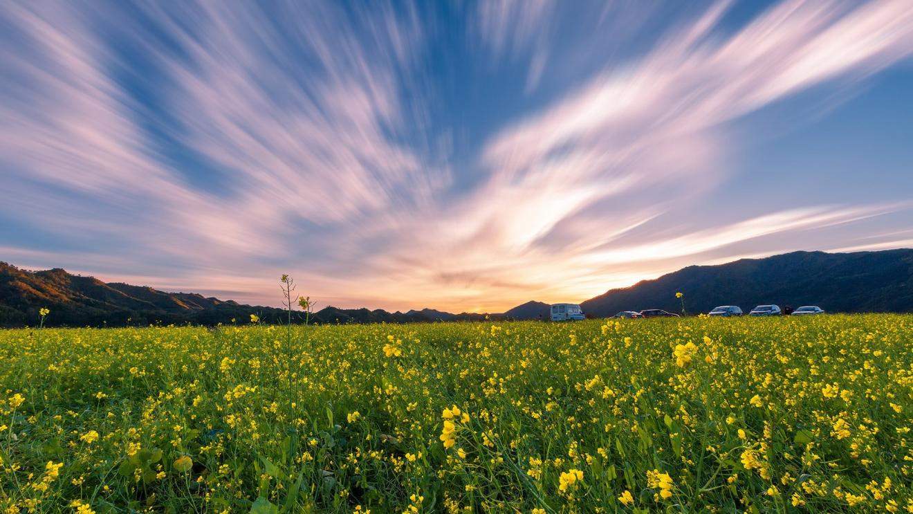 |领导所期望的提炼,主要要素有哪些?