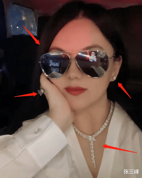 主持人|国内赚钱国外花，这8位知名主持人移居国外，生活奢侈生外籍孩子