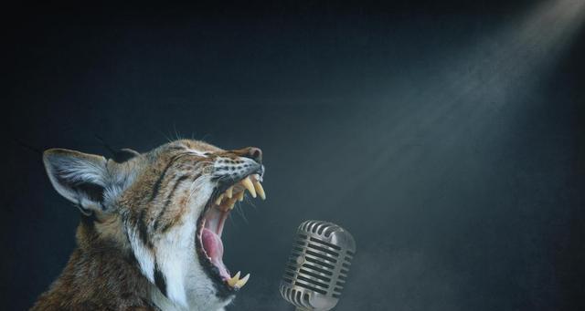 电子商务|刚过本科线2分,上大专还是民办?专家:上什么都行,熬过这4年