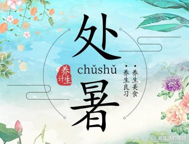 8月23日处暑,有钱没钱,多吃“1红2绿3白”,顺应时节,健康入秋