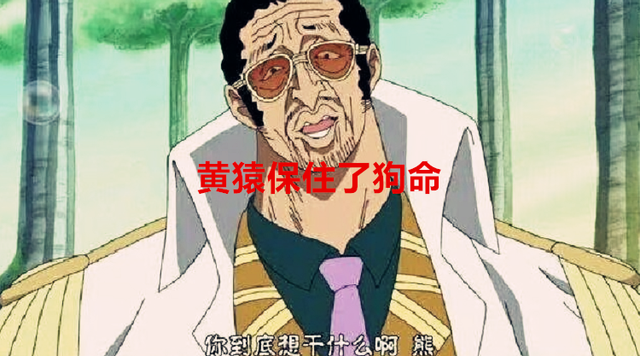 黄猿|海贼王1044话：原来暴君熊是在救黄猿的命，而艾斯则是在救赤犬