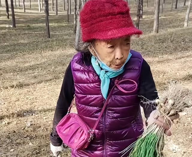 85岁马玉琴回老家，被姐姐安排蹲门口摘花生，网友：过分了