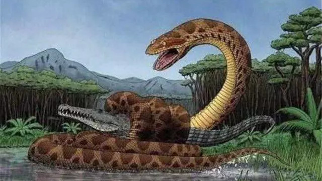 印尼一蟒蛇体型直逼史前生物，被当地人膜拜，卖给公园称“少女”