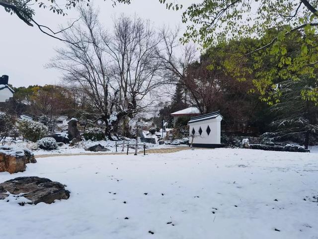 白雪|如入画境！在东湖迎接2023第一场雪