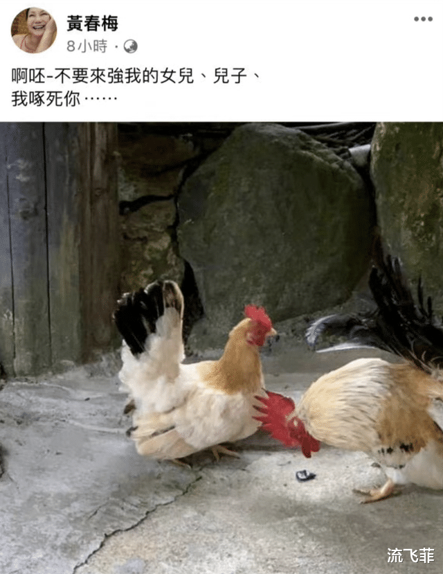 大S|大S新婚妈妈却发文内涵，都说大S看走眼其实新老公已撞脸前任