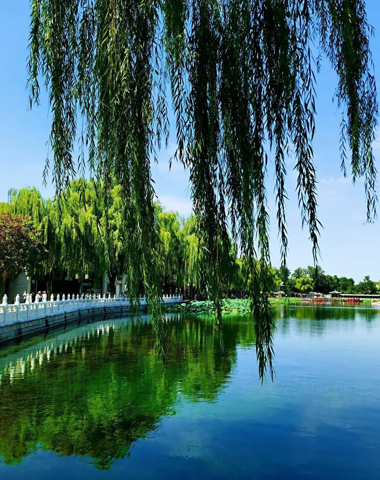 榆钱虽贵难买笑,柳絮无情易惹愁