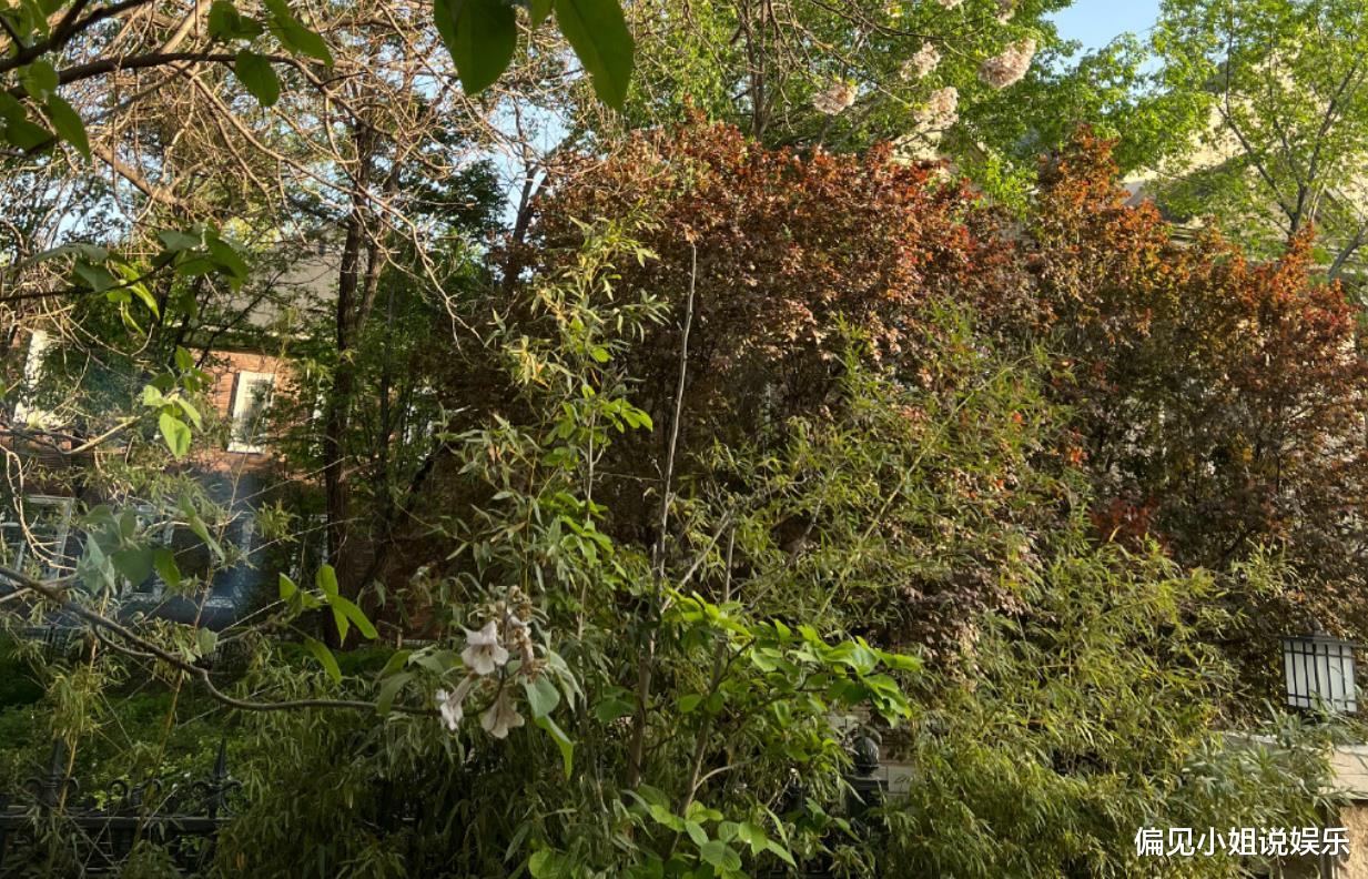 郭德纲|德云社郭德纲做腌蒜，晒照展示别墅花园，无意中来了个低调炫富