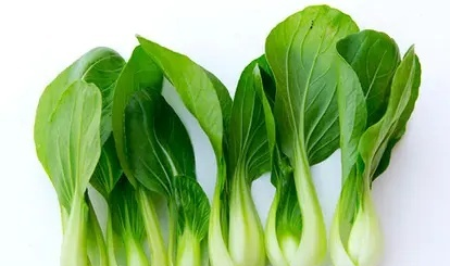 心律失常|肺气肿想要康复的快,这三种食物必不可少