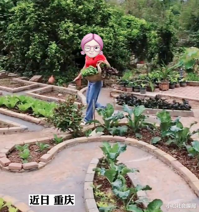 重庆:只因妻子一句话,男子把菜园打造成公园,网友看了表示羡慕