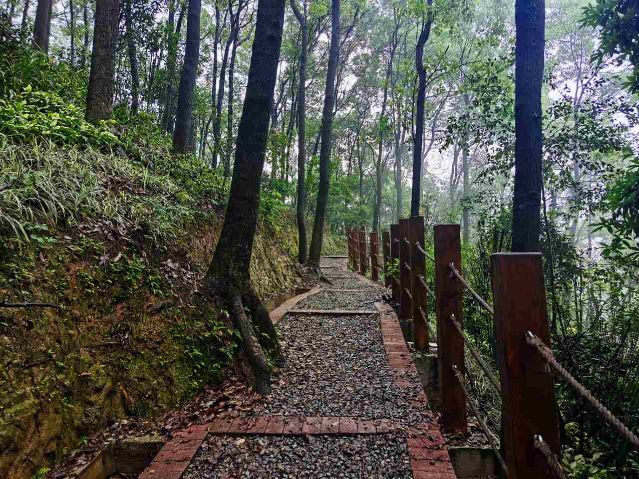 重庆|惊险刺激的重庆主城龙脊山步道，直接在山顶岩石上行走（攻略）