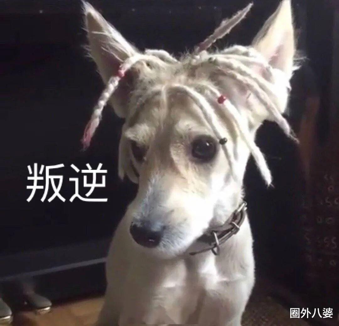 残忍!禽兽父亲强奸亲女儿3000次,囚禁地窖二十四年,强迫其怀孕并亲手杀掉孩子