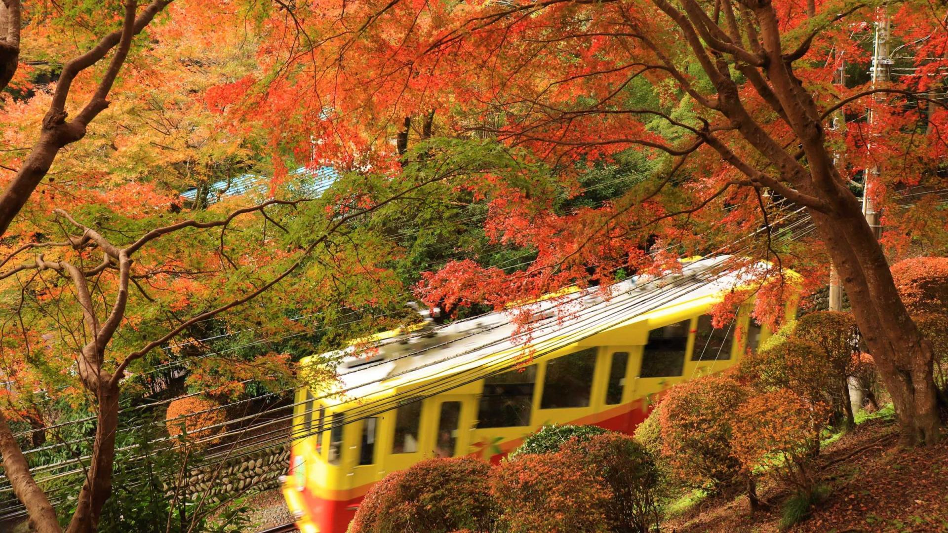 温泉|2022年日本全国赏枫大全！全是值得收藏的美景！