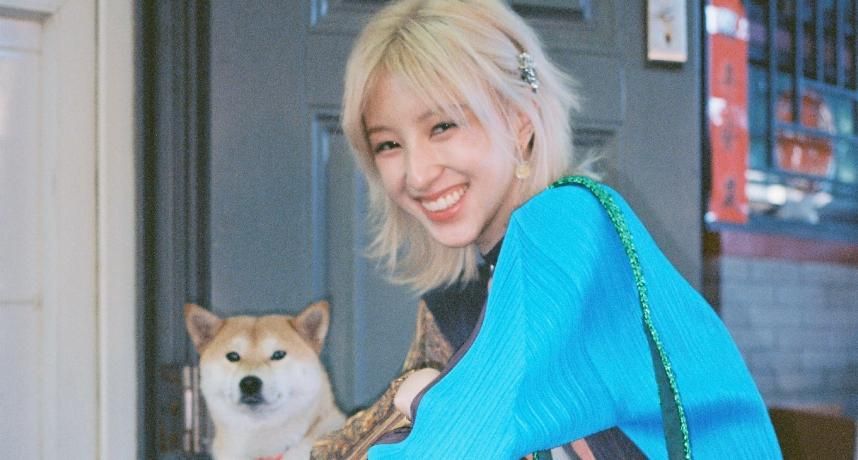 王悦伊|华晨宇因女友亲日冲热搜？王悦伊《苍兰诀》CP镜头被删光光