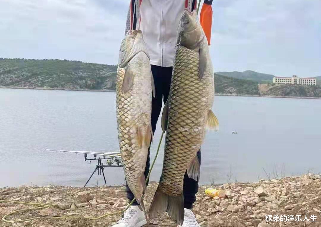 饵料|夏季野钓超好用的五款“天然饵料”，只有对症下药才能鱼口不断
